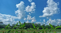 Met office forecasts dry weather across Bangladesh