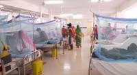 9 dengue patients die, 1,214 hospitalized in 24hrs