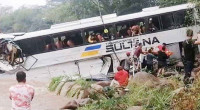 Bus crash in Brazil kills 12 university students