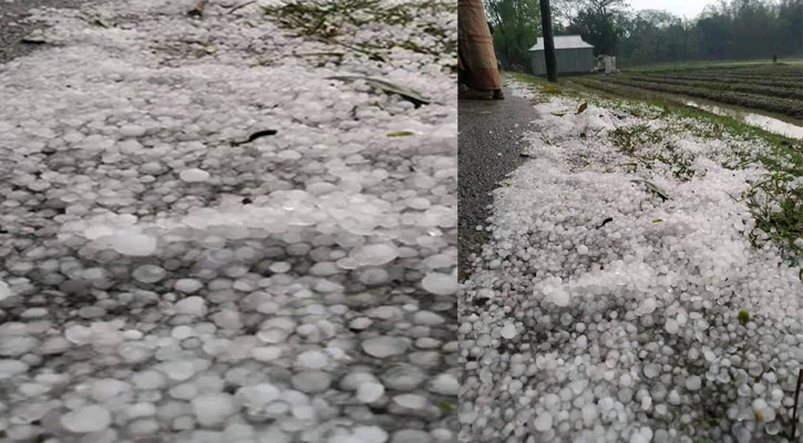 বছরের শুরুতে শিলাসহ বৃষ্টি দেখল সুনামগঞ্জ