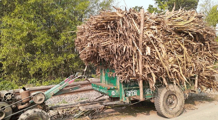 জীবননগরে পাওয়ার টিলারের ধাক্কায় শিশু নিহত