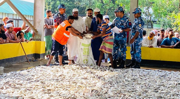 মেঘনায় ট্রলার থেকে ৬০০০ কেজি জাটকা জব্দ