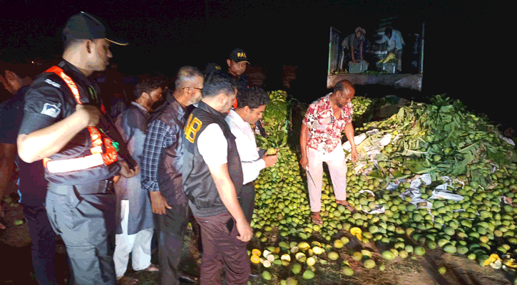 সাতক্ষীরায় রাসায়নিক দিয়ে পাকানো ৮ টন আম বিনষ্ট