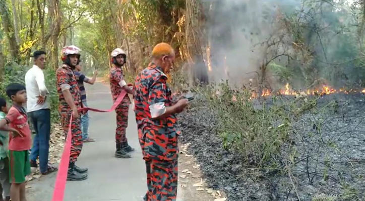 ধামইরহাটে আগুনে পুড়ল জাতীয় উদ্যান শালবন