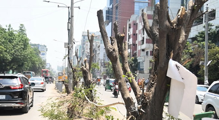 রাজধানীতে গাছ কাটার প্রতিবাদ উদীচীর, জড়িতদের শাস্তি দাবি