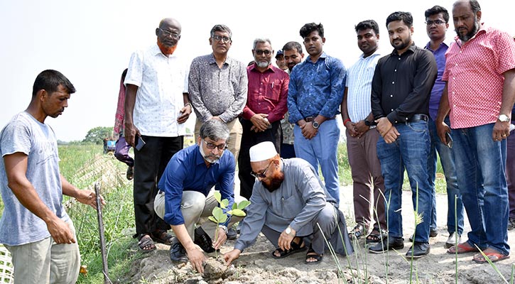 খুবিকে গ্রিন ক্যাম্পাস করতে বৃক্ষরোপণ