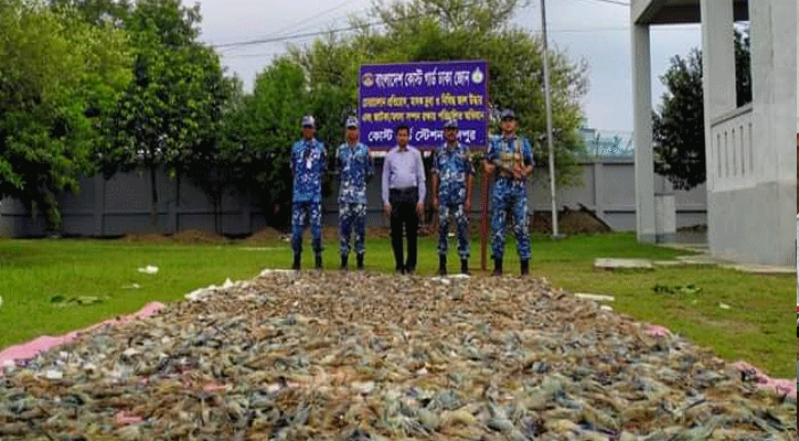 যাত্রীবাহী বাস থেকে ২৫০০ কেজি জেলিযুক্ত চিংড়ি জব্দ