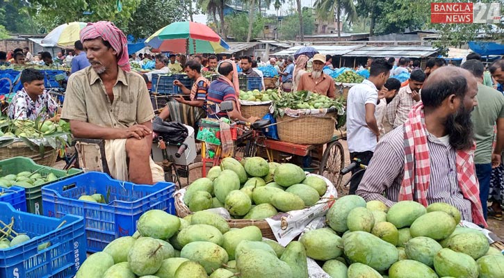 চাঁপাইনবাবগঞ্জে আম বাণিজ্য বাড়লেও বাড়েনি রপ্তানি 