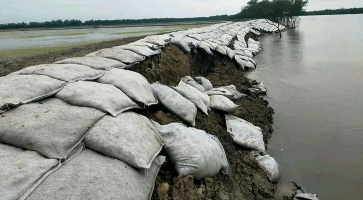 ছয় মাস না যেতে শ্যামনগরে সংস্কার করা বাঁধে ধস