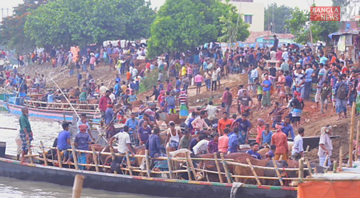 নদীপথেও গাবতলী হাটে আসছে কোরবানির পশু