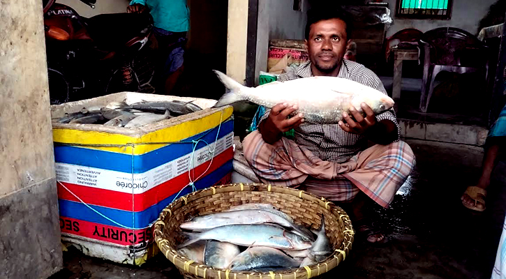 ঝাঁকে ঝাঁকে মিলছে রুপালি ইলিশ