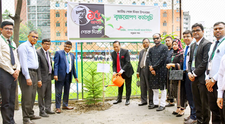 জাতীয় শোক দিবস উপলক্ষে সোশ্যাল ইসলামী ব্যাংকের বৃক্ষরোপণ