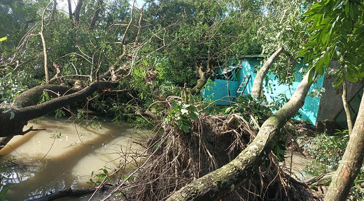 ঘূর্ণিঝড় হামুন তাণ্ডব: পেকুয়ায় দুই হাজার ঘরবাড়ি ক্ষতিগ্রস্ত, নেই বিদ্যুৎ