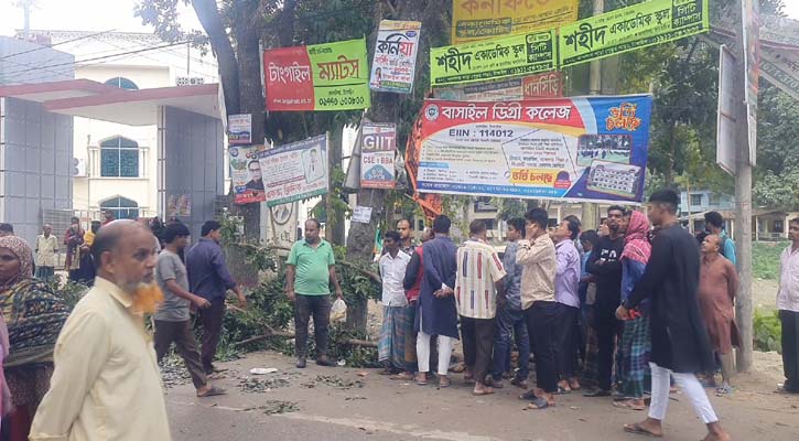 টাঙ্গাইলে গাছের ডাল পড়ে ব্যবসায়ীর মৃত্যু