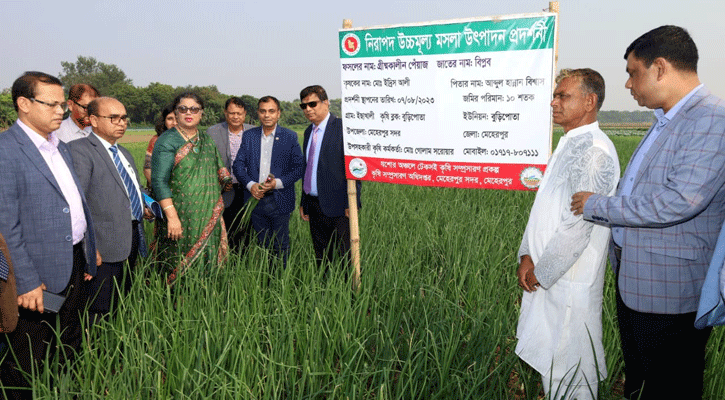 ‘পেঁয়াজের প্রণোদনা দ্বিগুণ করা হবে’