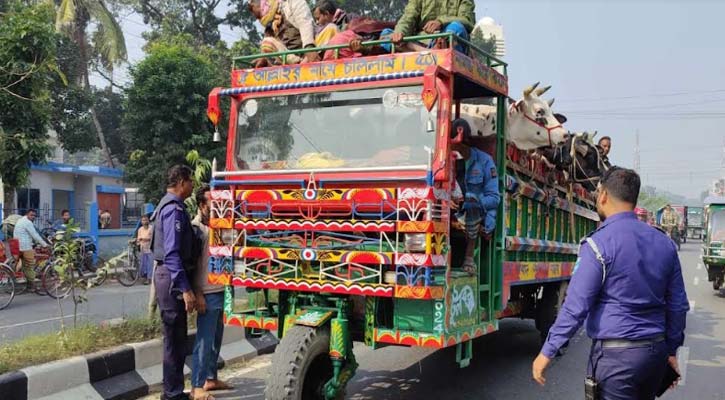 রাজবাড়ীতে নসিমনের ধাক্কায় বৃদ্ধ নিহত