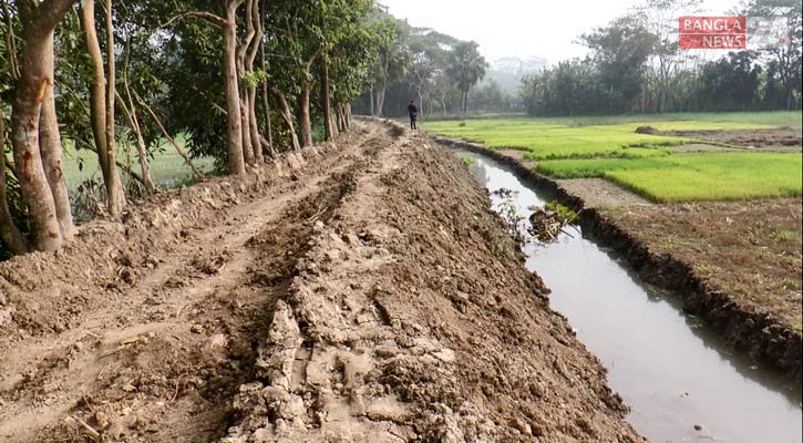 কালকিনিতে কৃষি জমি নষ্ট করে রাস্তা নির্মাণ