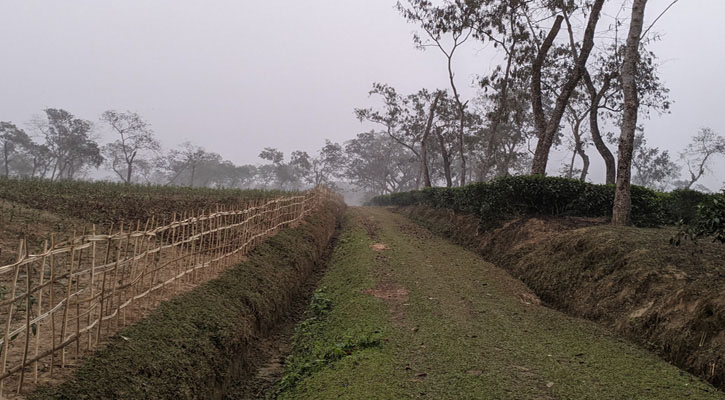 দেশের সর্বনিম্ন তাপমাত্রা শ্রীমঙ্গলে