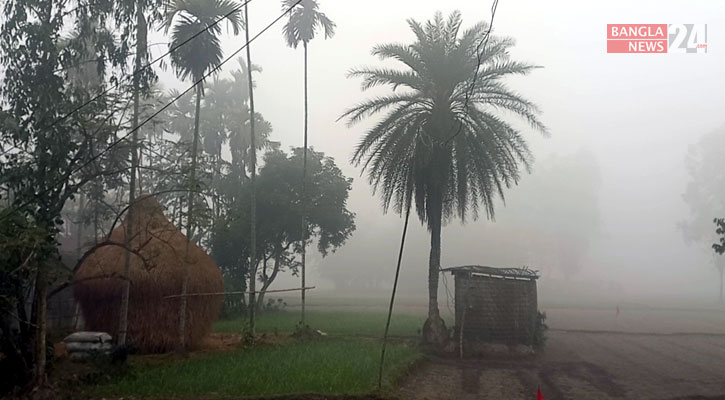 তেঁতুলিয়ায় ঘন কুয়াশায় আচ্ছন্ন চারপাশ, তাপমাত্রা ৮.৬ ডিগ্রি