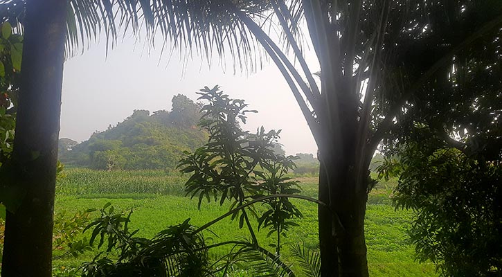 মধ্যরাতে ওপারের গুলির শব্দে কাঁপল টেকনাফ সীমান্ত