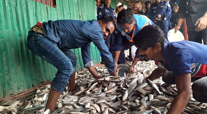 চাঁদপুরে ১১২ মণ জাটকা জব্দ, আটক ৪০ 