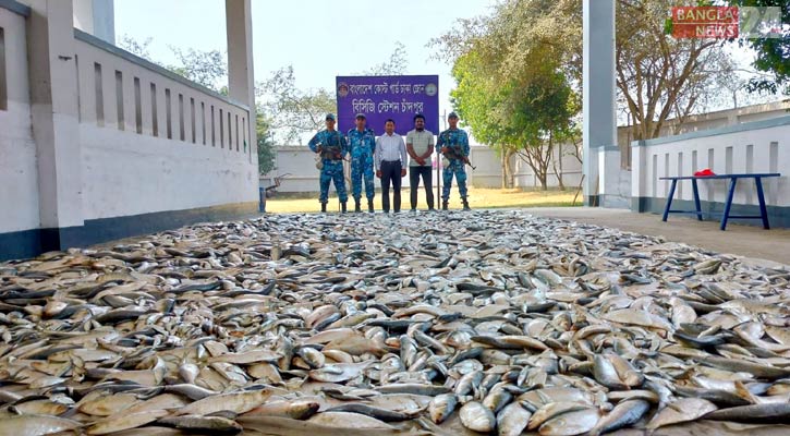 চাঁদপুরে ১২৭ মণ ইলিশ-জাটকা জব্দ 