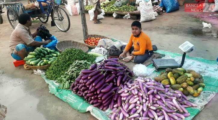 বগুড়ায় বেগুনের কেজি আড়াই থেকে ৫ টাকা!