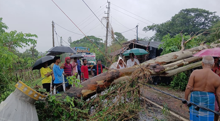 রিমালে বিপর্যস্ত কলকাতা, লাইনে গাছ পড়ে ট্রেন চলাচল বন্ধ