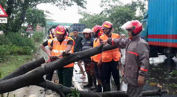 ঝড়ে উপড়ে পড়া ১৫৫ গাছ অপসারণ করেছে ফায়ার সার্ভিস