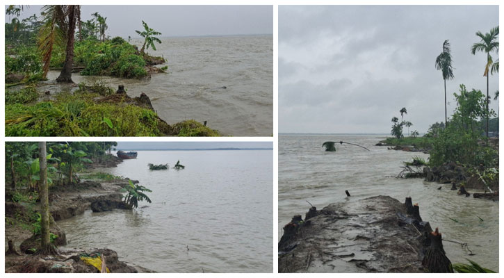 নদী ভাঙনে বিলীনের পথে শ্রীপুর ইউনিয়ন