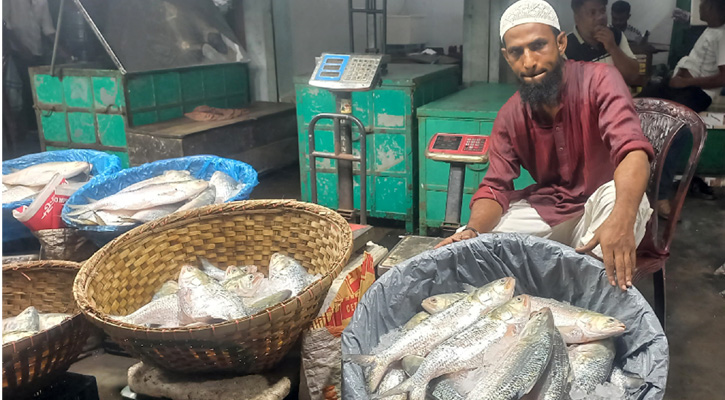 সরবরাহ কমায় চড়া দামে বিক্রি হচ্ছে ইলিশ