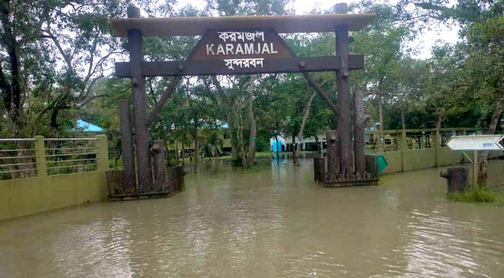 বিপৎসীমার ওপরে জোয়ারের পানি, দিনে ২ বার প্লাবিত হচ্ছে সুন্দরবন