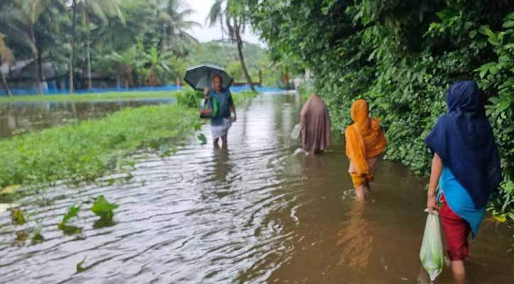 নোয়াখালীতে খাদ্য সংকট, সাপের ছোবলে ৬৩ জন হাসপাতালে ভর্তি