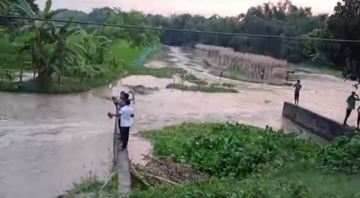 চুয়াডাঙ্গায় সেচ প্রকল্পের পাড় ভেঙে তলিয়ে গেল ৪ গ্রামের ফসল 