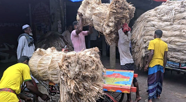 উৎপাদন খরচ বেশি, ন্যায্য মূল্য পাচ্ছে না ফরিদপুরের পাট চাষিরা