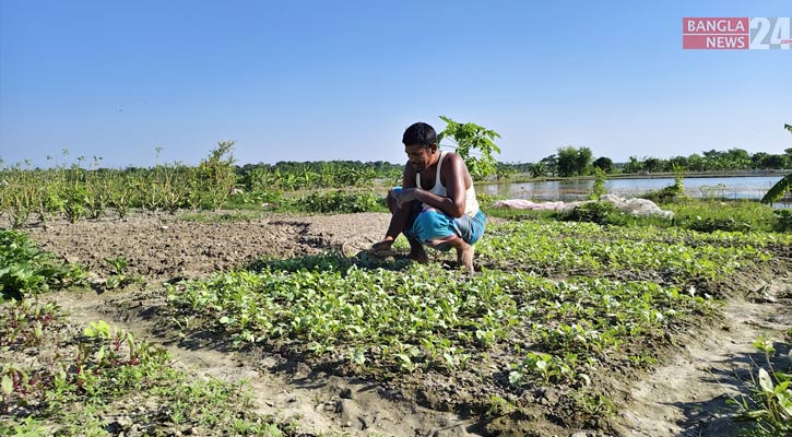 শীতকালীন সবজি চাষে ব্যস্ত খুলনার চাষিরা