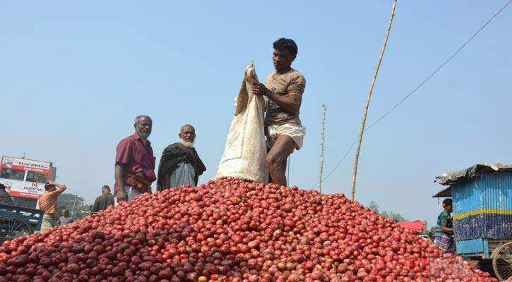 আলুর দাম বৃদ্ধির নেপথ্যে দাদন প্রথা