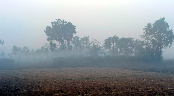 ১০ ডিগ্রির ঘরে দিনাজপুরের তাপমাত্রা 