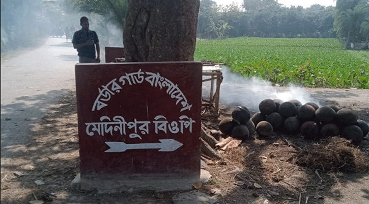 জীবননগর সীমান্তে বিএসএফের হাতে বাংলাদেশি আটক