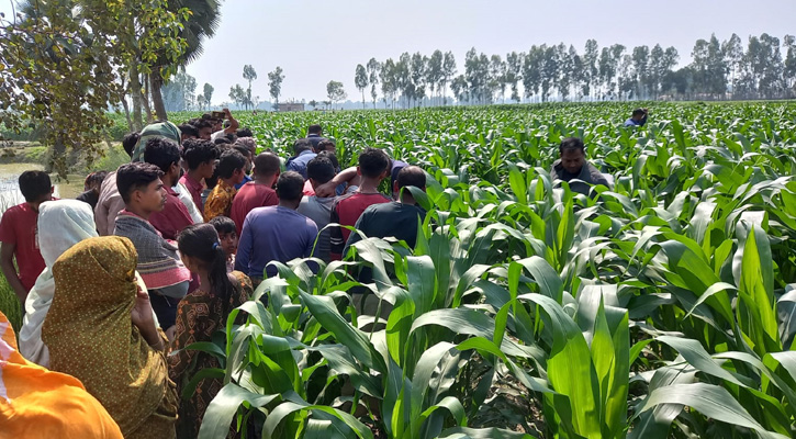 আধা কিলোমিটার রাস্তাজুড়ে রক্তের ফোঁটা, এলাকায় চাঞ্চল্য 